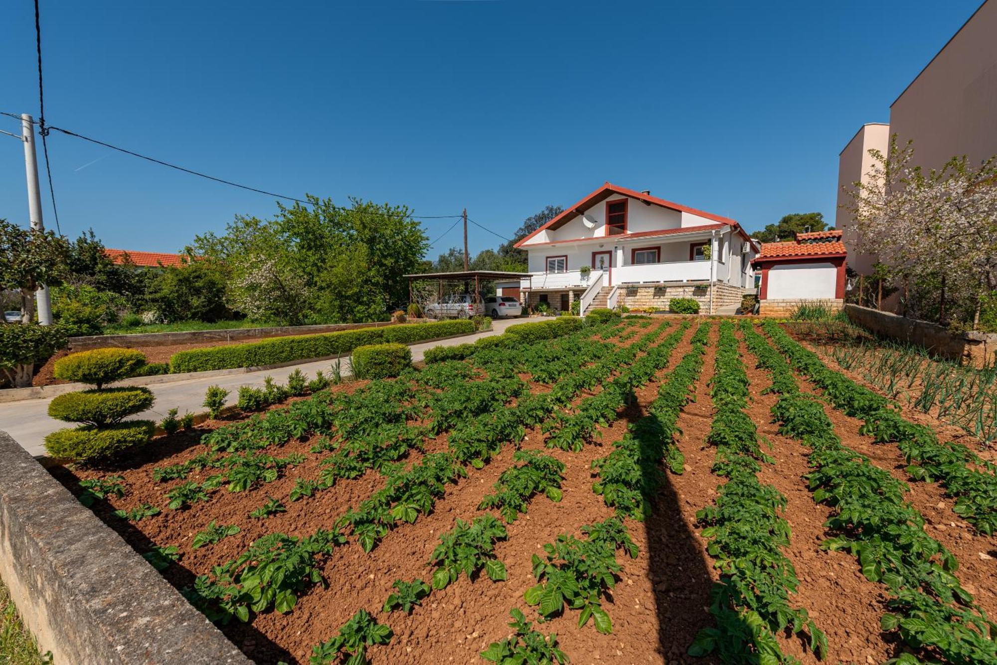 Floyd Bibinje Exterior foto